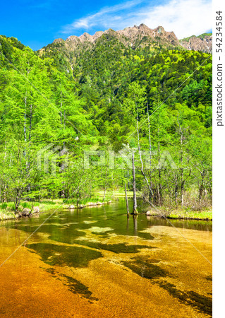<< Nagano Prefecture> Fresh green Kamikochi, Tashiro Pond 54234584