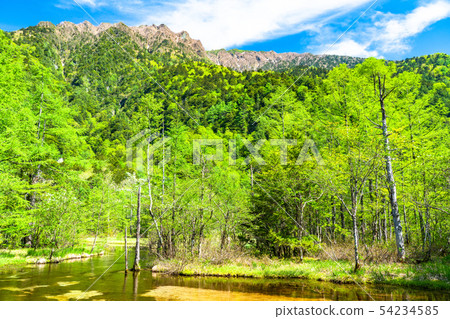 << Nagano Prefecture> Fresh green Kamikochi, Tashiro Pond 54234585