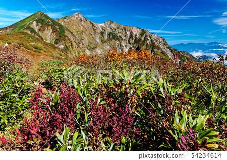 我們看看秋天的彩色鹿島山。 我們看看秋天的彩色鹿島山。 54234614