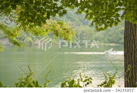 Rivers and branches 54235057