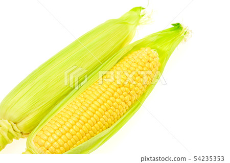 Two corn 54235353