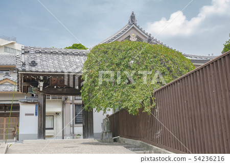 Kongoin（橫濱市橫濱市岡村） 54236216