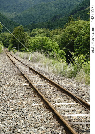Landscape with tracks of local lines 54236573