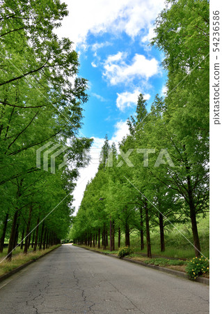 金澤市Sunigaoka Avenue 54236586