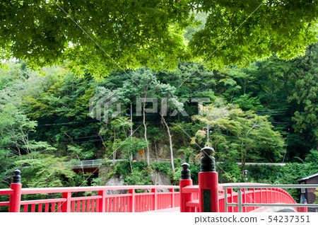 Karamkei Blue Momiji Karamkei Blue Momiji 54237351
