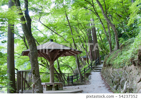 Karamkei Blue Momiji Karamkei Blue Momiji 54237352