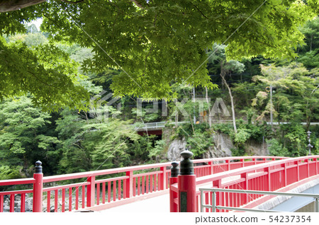 Karamkei Blue Momiji 54237354