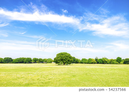 新鮮的綠色和藍天傳播的風景 新鮮的綠色和藍天傳播的風景 54237566