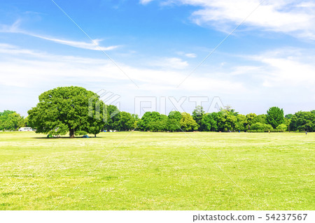 新鮮的綠色和藍天傳播的風景 54237567
