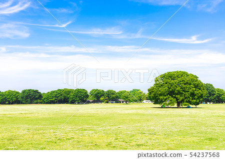 新鮮的綠色和藍天傳播的風景 新鮮的綠色和藍天傳播的風景 54237568