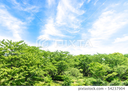 Fresh green and blue sky 54237904