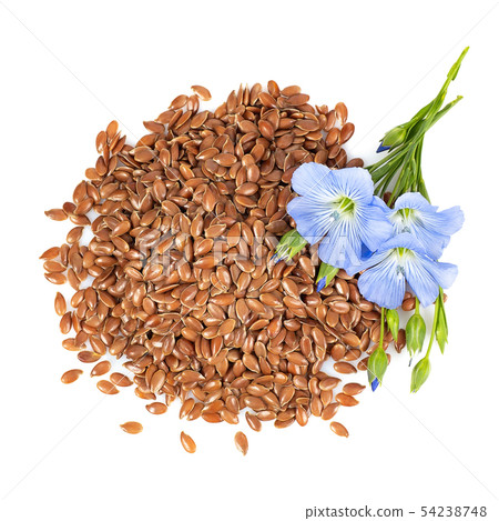 top view of flax seeds and flowers top view of flax seeds and flowers 54238748