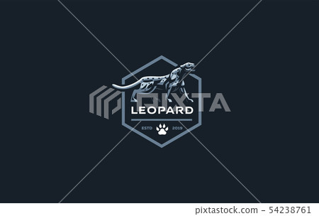 The image of a cougar or panther. The image of a cougar or panther. 54238761