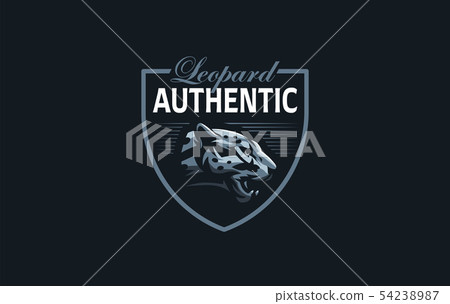 The image of a cougar or panther. The image of a cougar or panther. 54238987