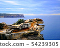 Sydney Harbor 54239305