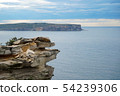 Sydney Harbor 54239306