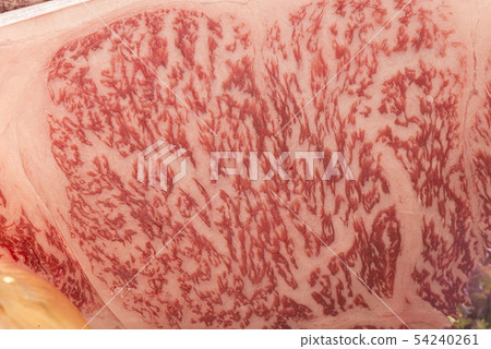Fresh and delicious Japanese beef 54240261
