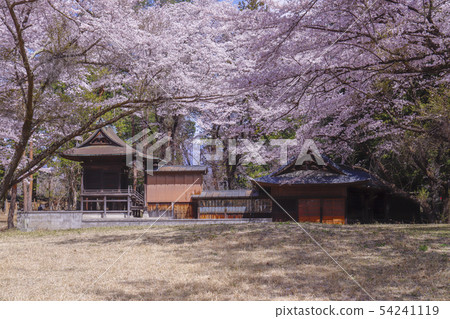 [Yamanashi Prefecture Amagasaki City] The historical site of the country, the spring of Shinfu Shiromoto Maru, Fuji Take Inari Shrine 54241119
