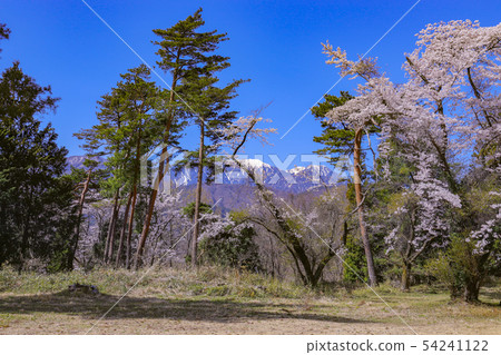 [Yamanashi Prefecture Amagasaki City] Shinfu Castle Honmaru trace and Southern Alps in spring 54241122