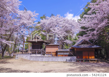 [Yamanashi Prefecture Amagasaki City] The historical site of the country, the spring of Shinfu Shiromoto Maru, Fuji Take Inari Shrine 54241124