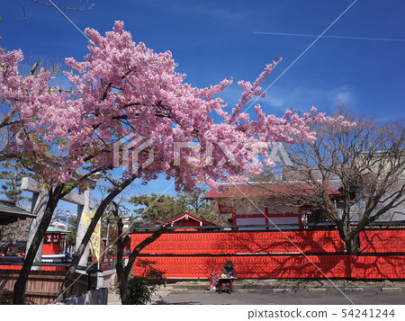 Car Ori Shrine 54241244
