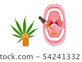 Sublingual CBD oil Drops Complete 54241332