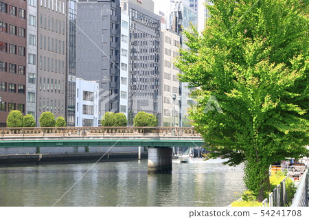 大阪橋橫跨Tosabori河 54241708