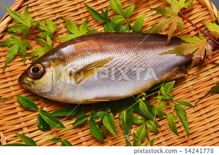 Seki Isaki stock 54241778