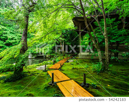 Kyoto Lotus Temple in the spring 54242183