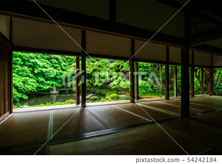 京都蓮花寺在春天 京都蓮花寺在春天 54242184