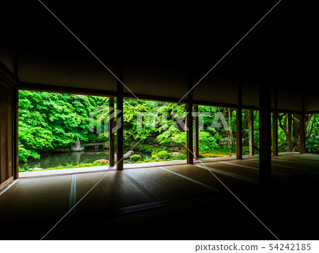 Kyoto Lotus Temple in the spring 54242185