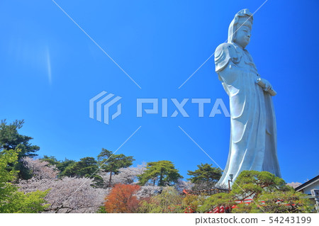 [Gunma]晴朗天氣下的高崎白大衣 54243199