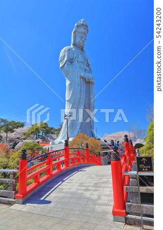 [Gunma]晴朗天氣下的高崎白大衣 54243200