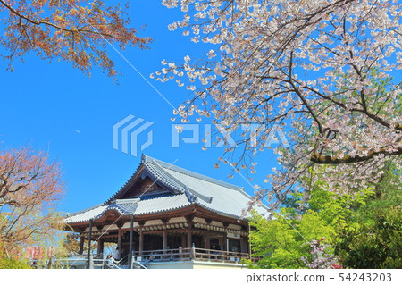 [Gunma] Jigen-in under sunny weather 54243203