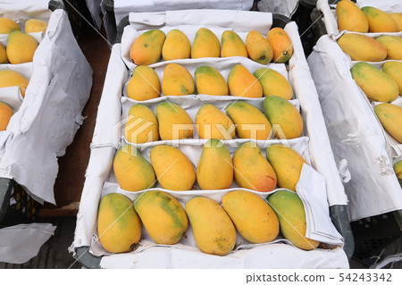 廣東省公共市場 廣東省公共市場 54243342