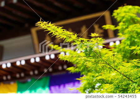 Shikoku Eighty-eighth Remembrance Hall, Fudasho 54243455