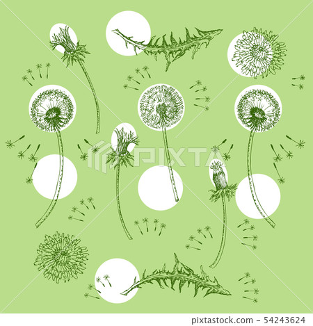 Dandelions Flowers Seamless Pattern. Hand drawn sketches Dandelions Flowers Seamless Pattern. Hand drawn sketches 54243624
