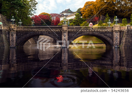 Japanese lady in Kimono dress stand on stone 54243656
