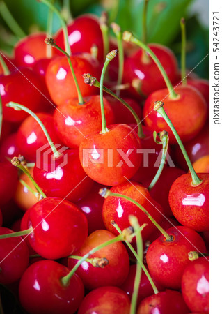 Cherry, nishiki sato 54243721