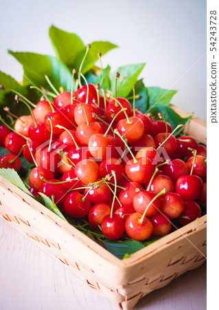 Cherry, nishiki sato Cherry, nishiki sato 54243728