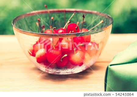 Cherry, nishiki sato 54243864