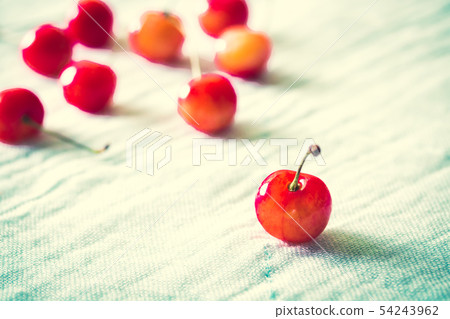 Cherry, nishiki sato Cherry, nishiki sato 54243962
