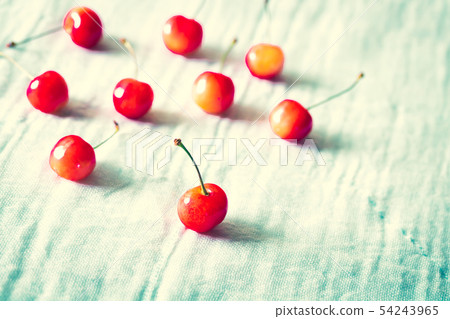 Cherry, nishiki sato 54243965