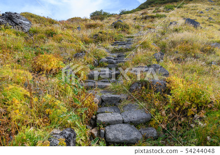 Mountain trail of Mt. Chokai and grass autumn leaves Mountain trail of Mt. Chokai and grass autumn leaves 54244048