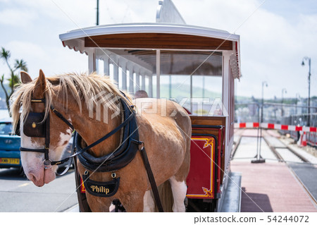 Douglas Bay Horse Tramway The Douglas Bay Horse Tramway on the Isle of Man Douglas Bay Horse Tramway The Douglas Bay Horse Tramway on the Isle of Man 54244072