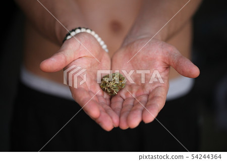 dry medical cannabis marijuana hand dry medical cannabis marijuana hand 54244364