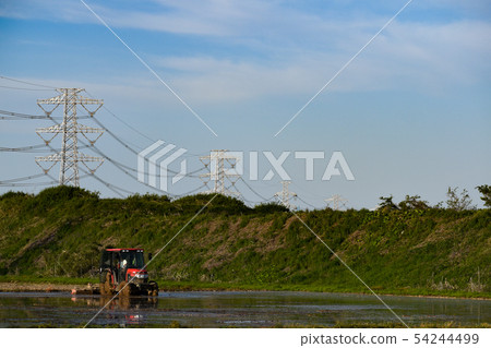 埼玉縣杉戶町農業風景 埼玉縣杉戶町農業風景 54244499