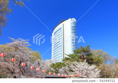 [群馬縣]高崎公園和高崎市政廳盛開的櫻花 54244552