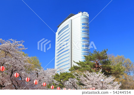 [群馬縣]高崎公園和高崎市政廳盛開的櫻花 54244554