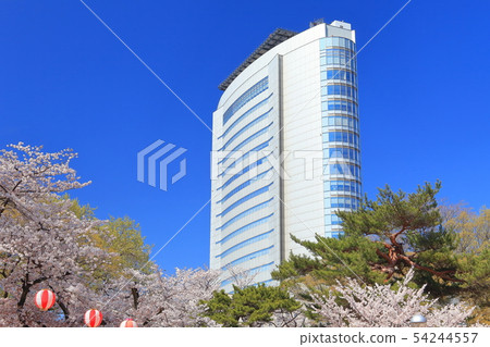 [Gunma Prefecture] Full bloom cherry blossoms in Takasaki Park and Takasaki City Hall 54244557